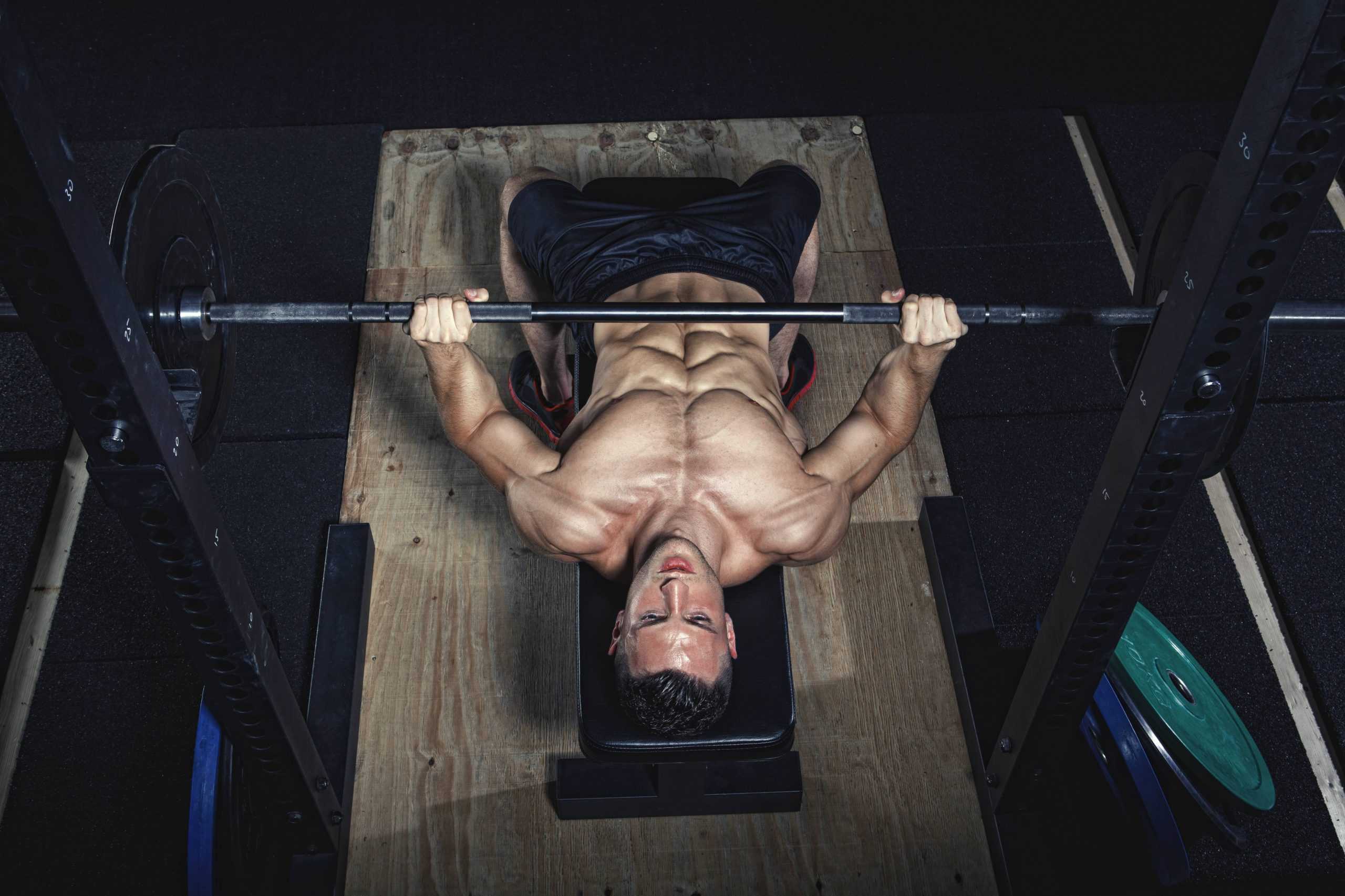 How to perform the Barbell Bench Press